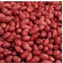 MUNGFALI RED 281GM